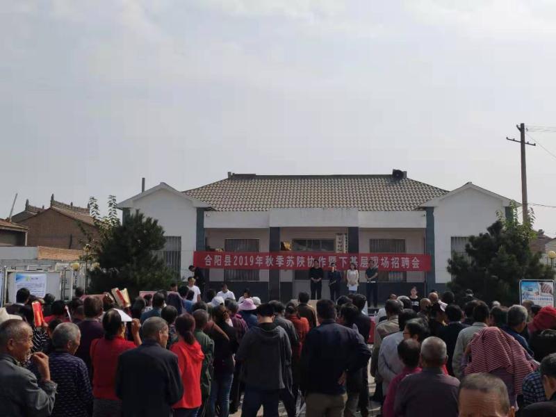 合阳最新招,合阳最新招，背景、事件与地位的深度探析