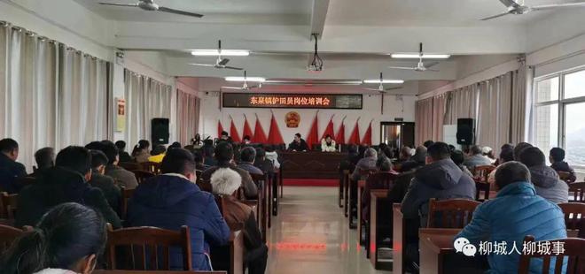 广西柳城县最新招聘,广西柳城县最新招聘启事🏆✨