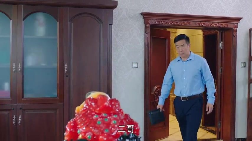 女村长电视剧,女村长电视剧，时代背景下的乡村领航者